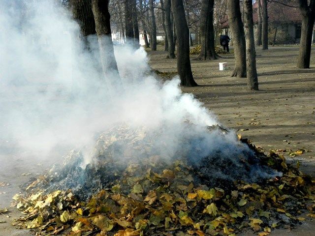 Попіл і пожежі: Дніпропетровщина попереджає про серйозні наслідки спалювання трави