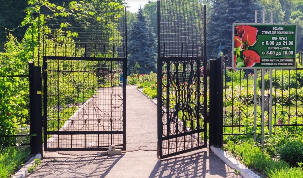 Руйнування розарію в Кам'янському: вандали знищують красу, врятовану рік тому.