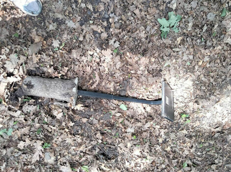Вандали в Ботанічному саду ДНУ: юнаки руйнують красу.